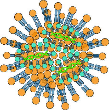 Custom mRNA Synthesis
