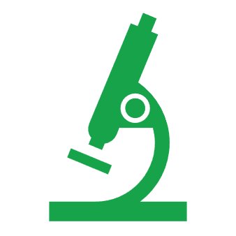 Histopathology & Biomarker Analysis