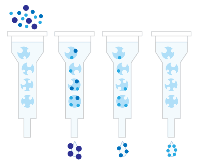 Recombinant Protein Production
