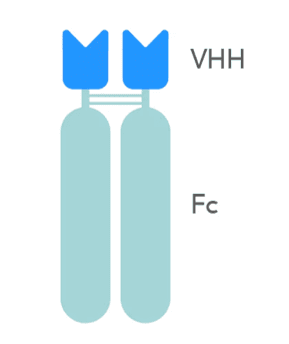 Recombinant Monoclonal Antibodies