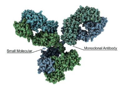 Small Molecules Antibodies